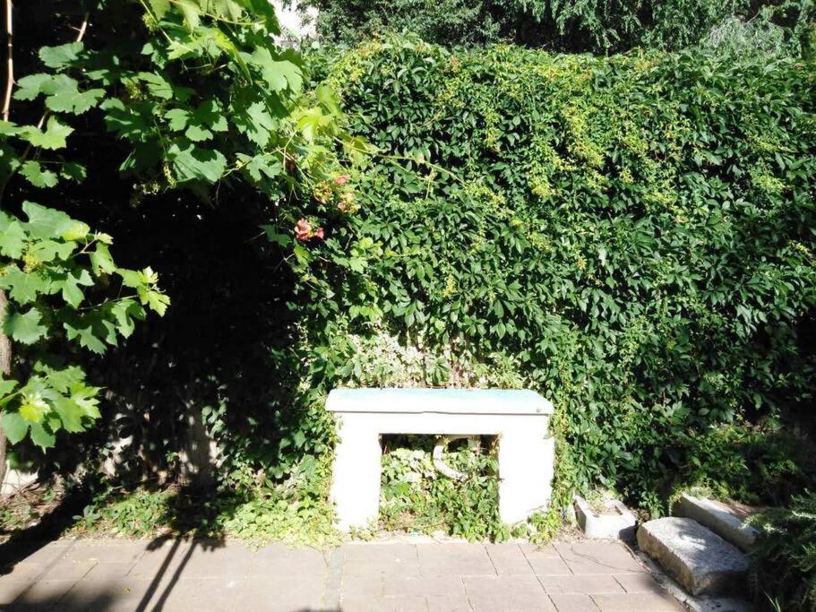 Emaus Garden - City Center & 2 Bth Split Dış mekan fotoğraf